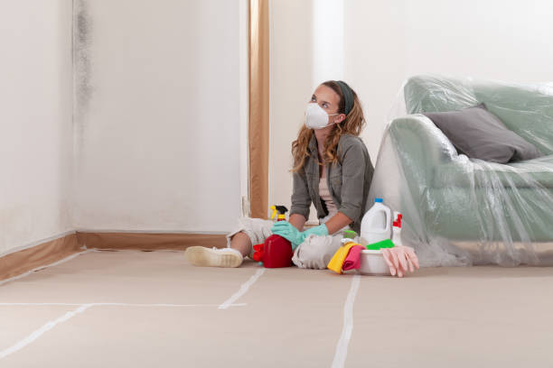 Trusted Black Mold Removal service in Buckley, MI - Cheap Mold Removal
